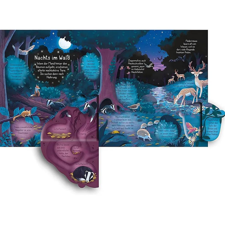 Aufklappen und Entdecken: Der Wald Lacey, Minna; Luu, Bao (Illustrationen) Gebundene Ausgabe 