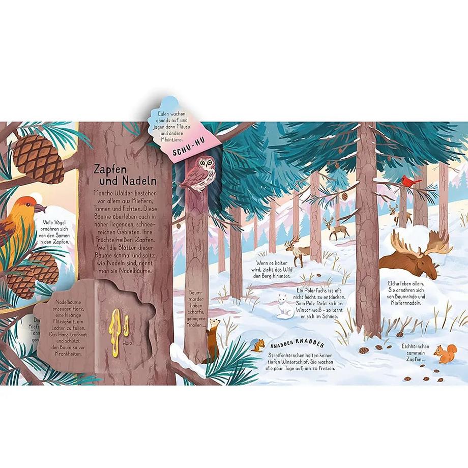 Aufklappen und Entdecken: Der Wald Lacey, Minna; Luu, Bao (Illustrationen) Gebundene Ausgabe 