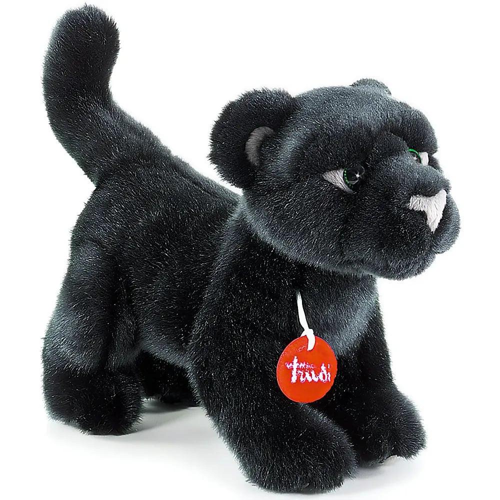 Image of Panther Iris (19cm)