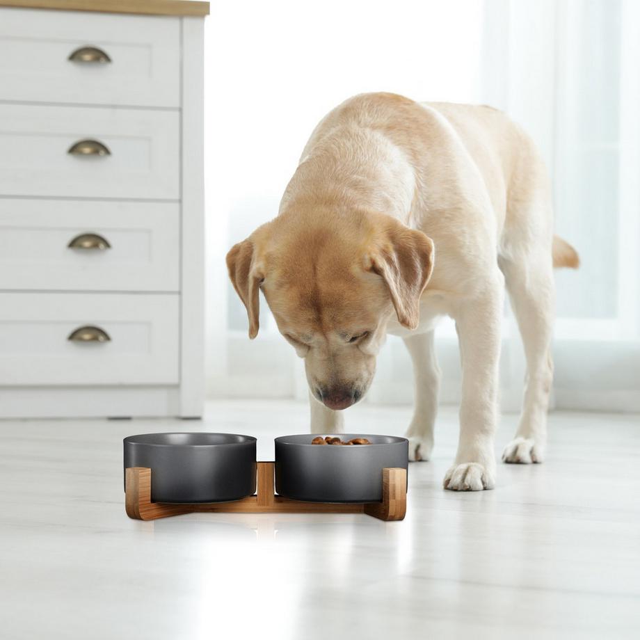 B2X  Gamelle pour chien en céramique avec cadre en bambou 