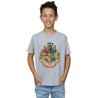 Harry Potter  Hogwarts TShirt 