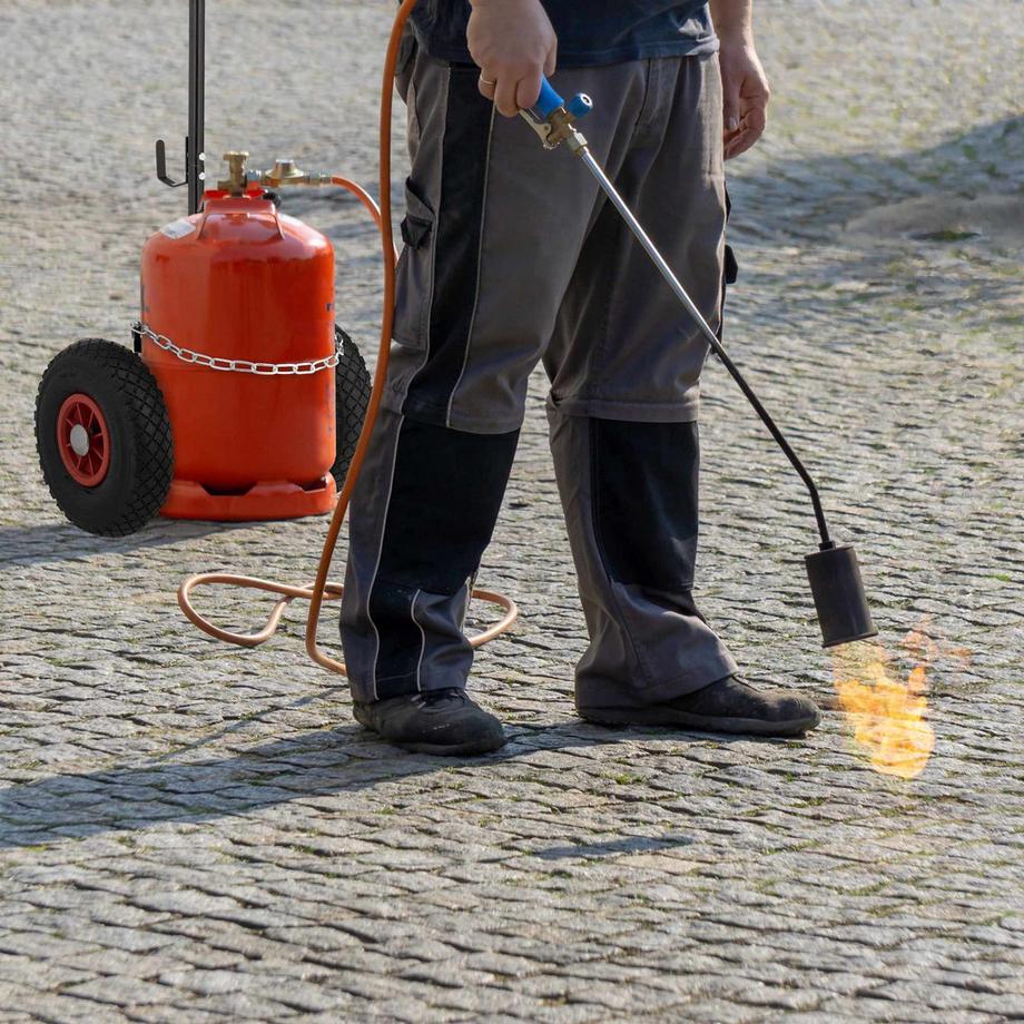 Northix Carrello per il trasporto di bombole di gas  