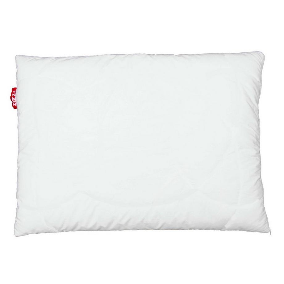 Zizzz Oreiller Premium Duvet d'Oie Bio Nomite Downpass  