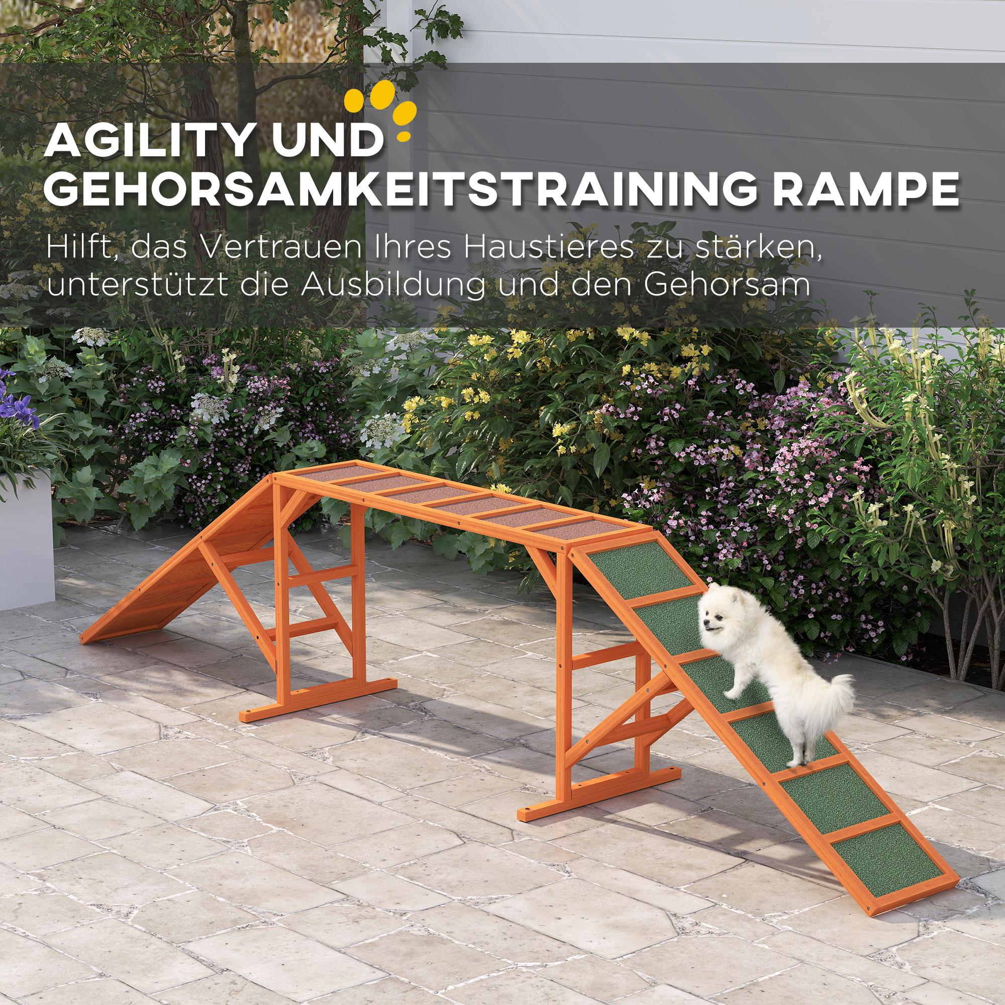 PawHut  Hunde Agility Steg 