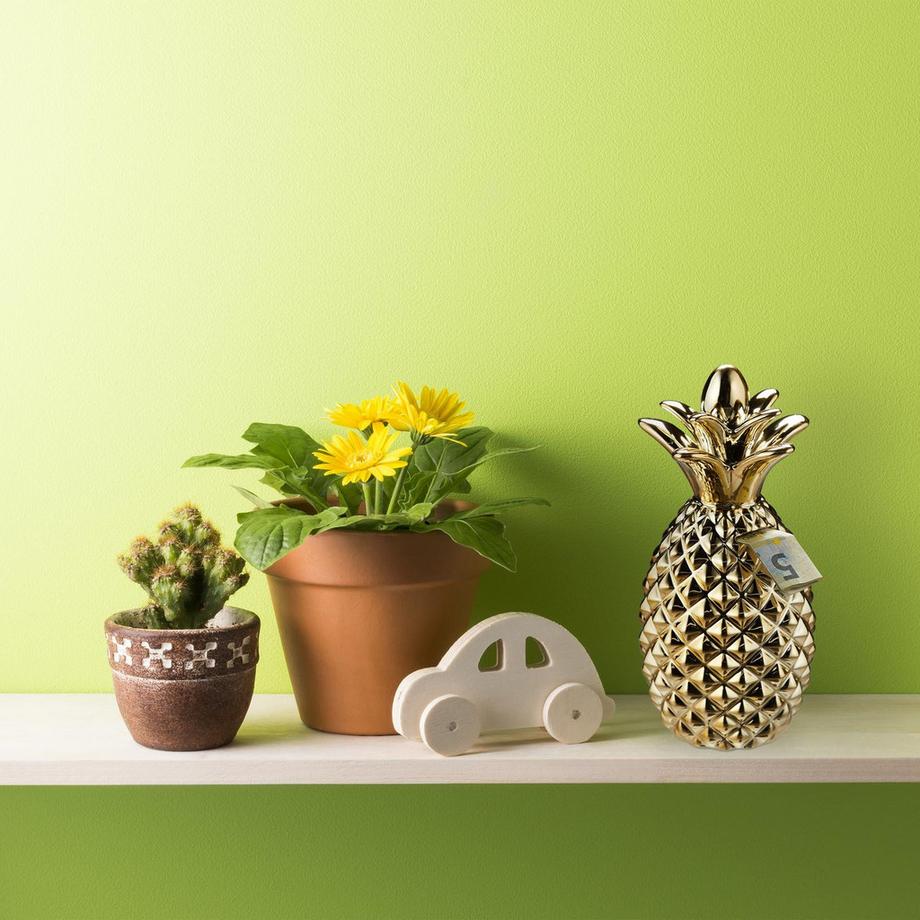 B2X  Tirelire ananas 