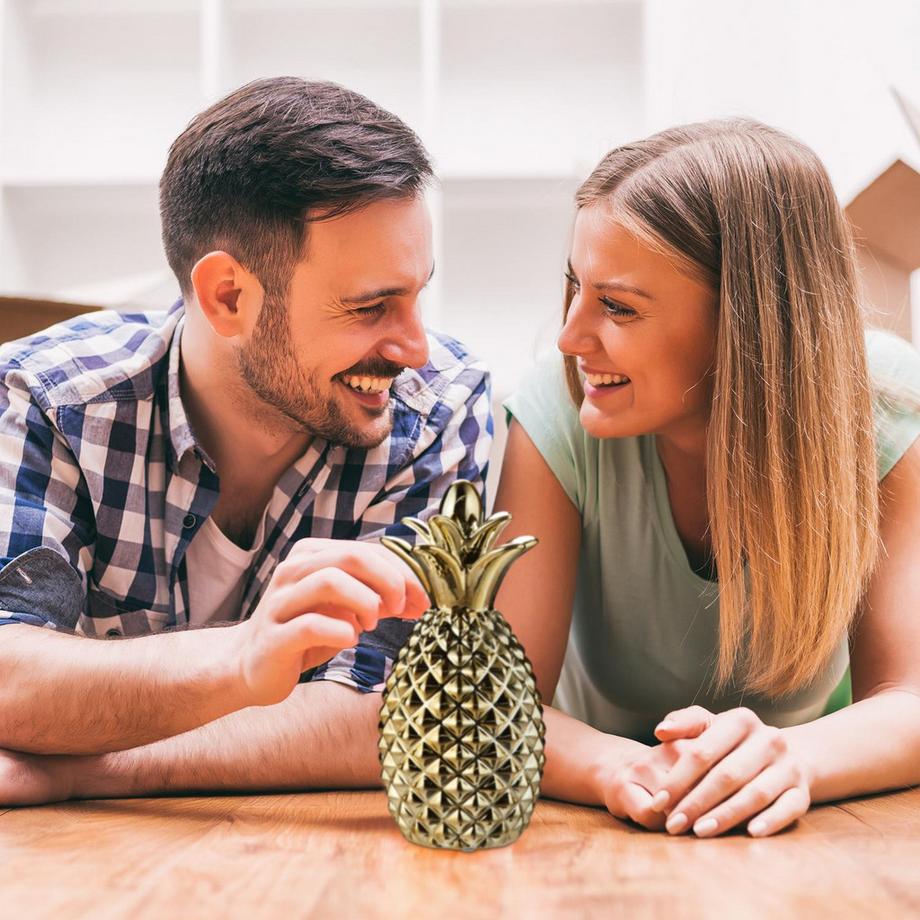 B2X  Tirelire ananas 