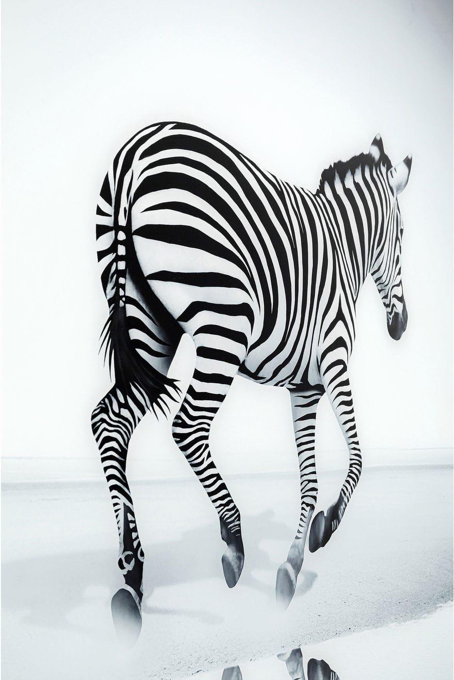 KARE Design Bild Glas Savanne Zebra 120x120cm  