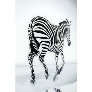 KARE Design Zebra in vetro Savannah 120x120 cm  