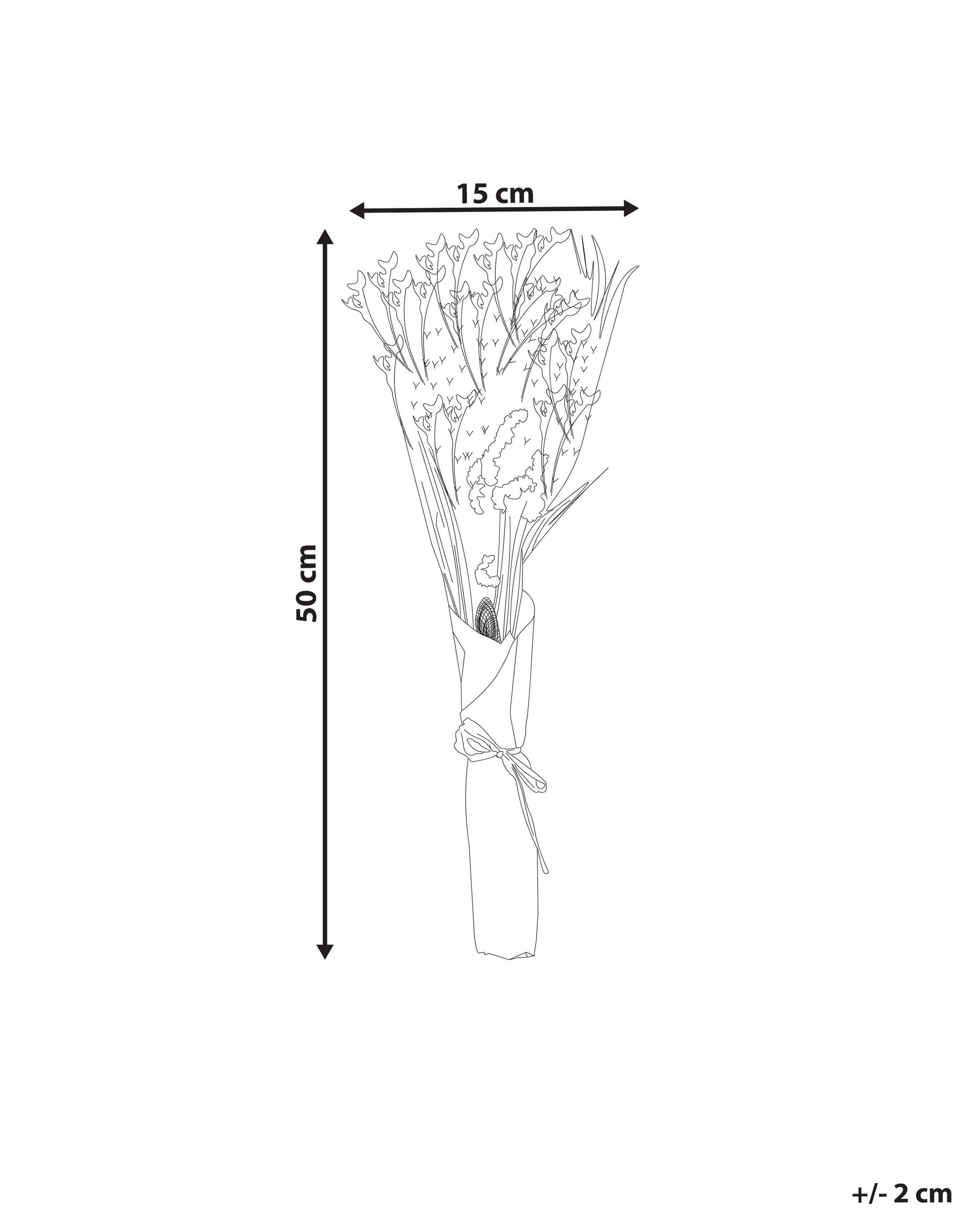 Beliani  Bouquet de fleurs séchées en Fleurs séchées Boho ZAMORA 