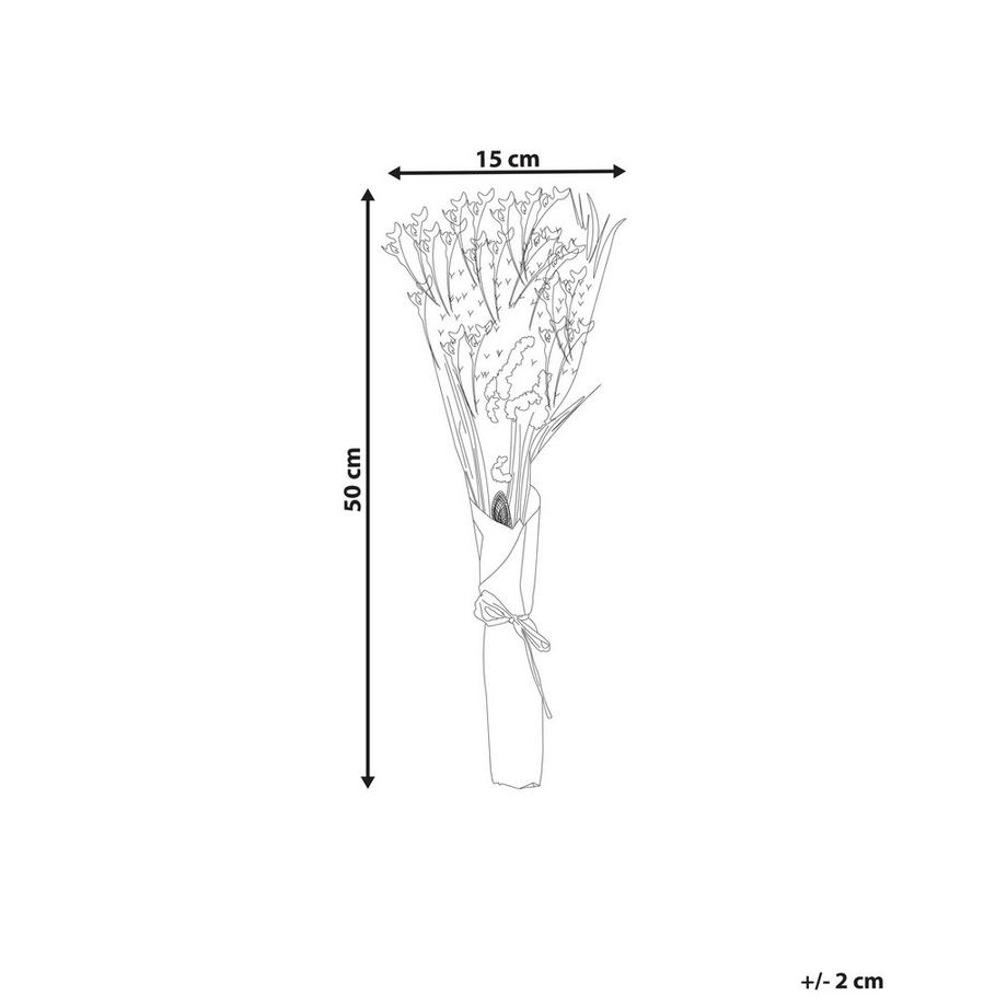 Beliani  Mazzo di Fiori Secchi en Fiori Secchi Boho ZAMORA 
