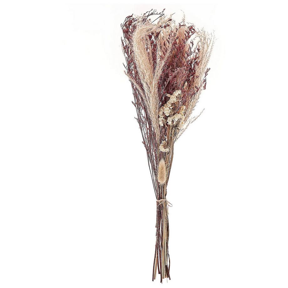 Beliani  Mazzo di Fiori Secchi en Fiori Secchi Boho ZAMORA 