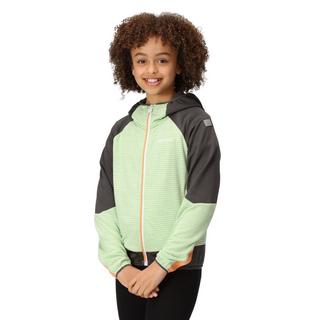 Regatta  Veste softshell PRENTON Enfant 