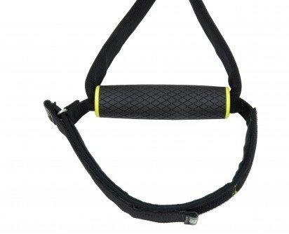 TRX  Studioversion 4.0 