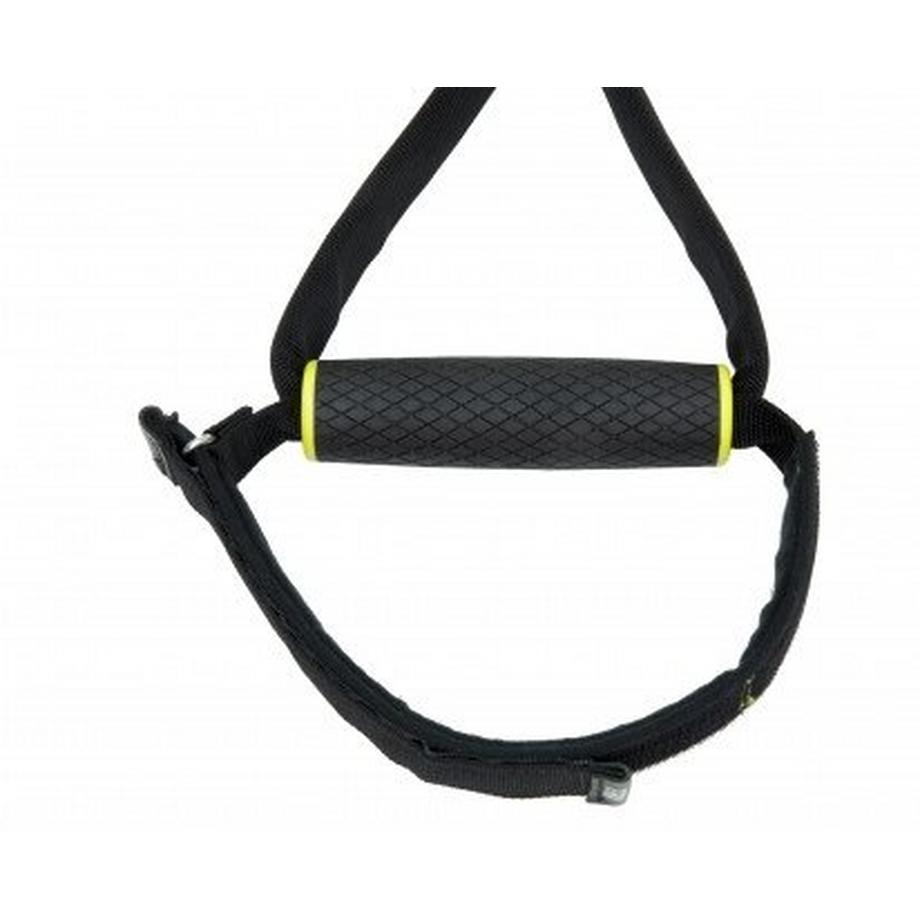 TRX  Studioversion 4.0 