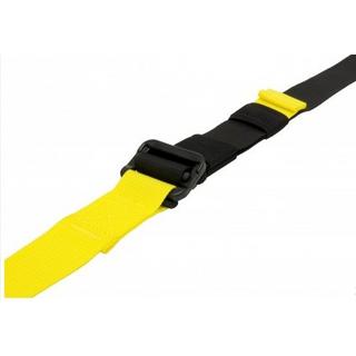 TRX  Studioversion 4.0 