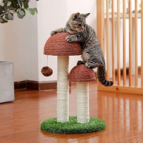 Alopini  Arbre à chat pour chat, arbre à chat en forme de champignon pour chatons et petits chats, corde en sisal naturel pour satisfaire l'instinct des griffes des chats 