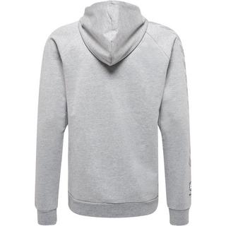 Hummel  baumwo-hoodie humme move grid 