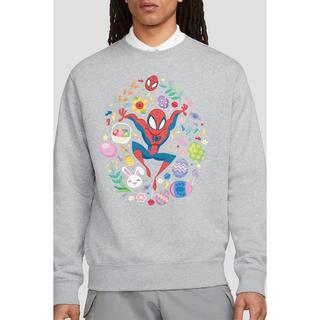 Spider-Man  Sweatshirt 