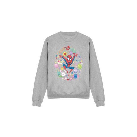 Spider-Man  Sweatshirt 