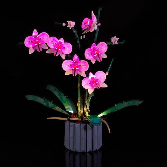 Image of Light My Bricks 103313 Bauspielzeug-Zubehör Beleuchtungsset Pink, Gelb Pink