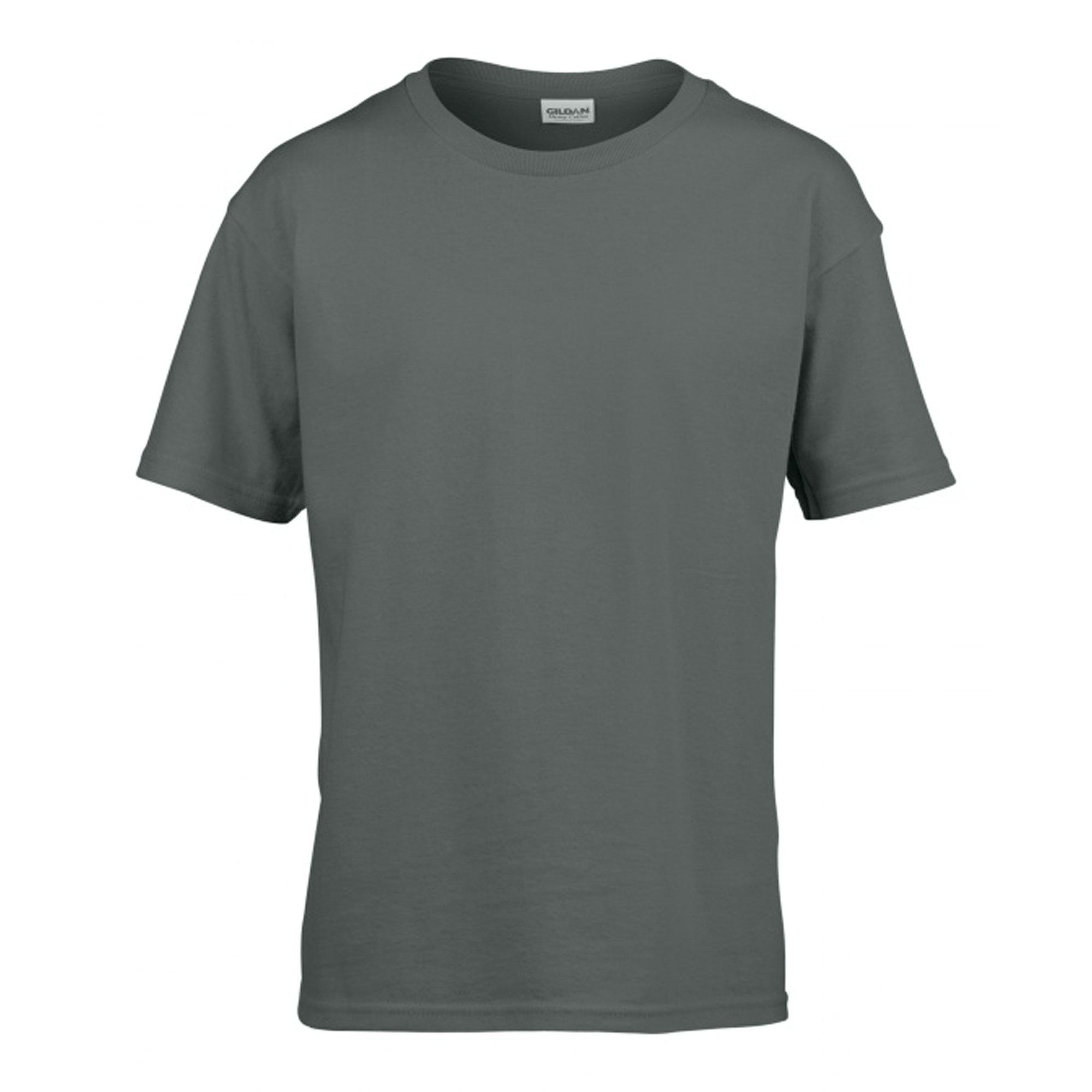 Image of Softstyle Tshirt Herren Taubengrau XL