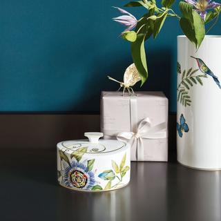 Villeroy & Boch Signature Porzellandose Amazonia Gifts  