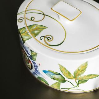 Villeroy & Boch Signature Boîte en porcelaine Amazonia Gifts  