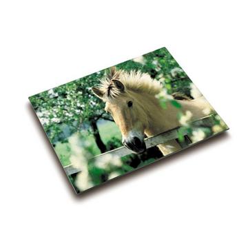 LÄUFER Schreibunterlage 46640 Pferd 53x40cm