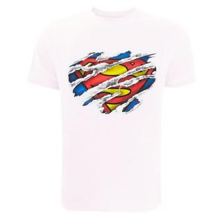 SUPERMAN  Tshirt 