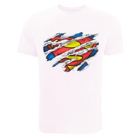 SUPERMAN Logo Imprimé Graphique T-Shirt  