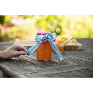 PTOUCH  PTOUCH Band hellblau/gold TZE-RL54 Tze Geräte 24mm 