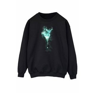 Harry Potter  Sweatshirt 