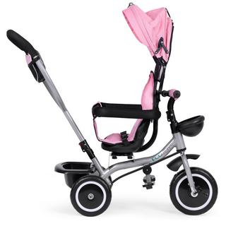 Northio  Passeggino triciclo 2 in 1, sedile girevole, cappottina pieghevole 