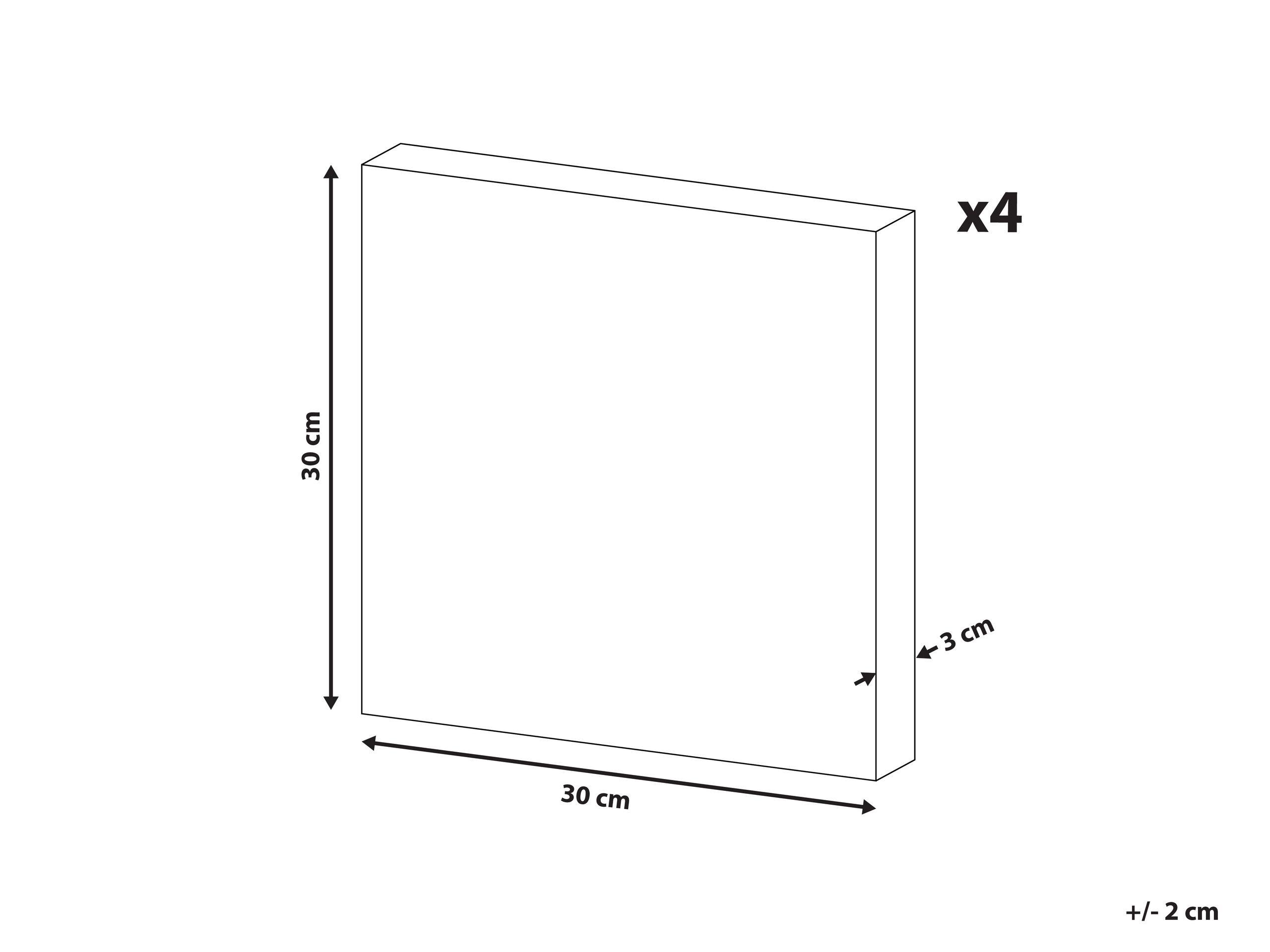 Beliani Lot de 4 toiles en Nylon Moderne BOMBI  