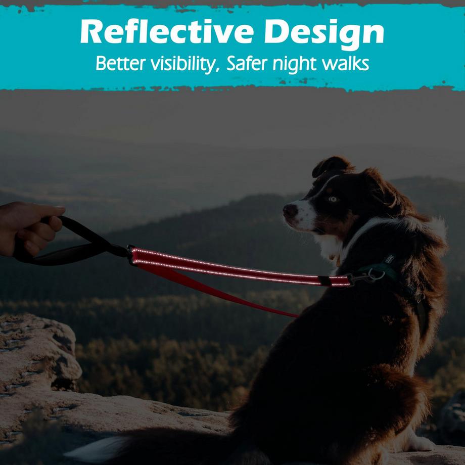 Alopini  Laisse pour chien Anti-Traction sans Traction, Double Laisse sans enchevêtrement pour harnais Anti-Traction, Laisse réfléchissante pour Chien pour l'entraînement et la marche des Grands Chiens de Taille moyenne 