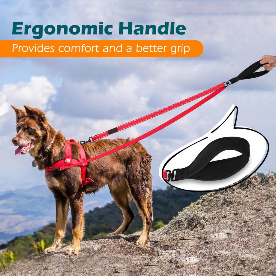Alopini  Laisse pour chien Anti-Traction sans Traction, Double Laisse sans enchevêtrement pour harnais Anti-Traction, Laisse réfléchissante pour Chien pour l'entraînement et la marche des Grands Chiens de Taille moyenne 