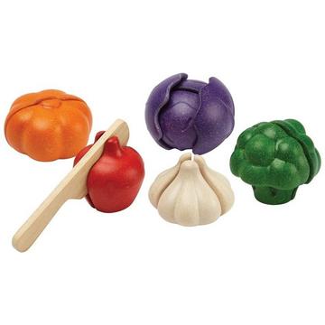 PlanToys Holzspielzeug 5-Farben-Gemüse-Set