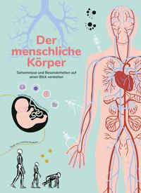 Der menschliche Körper Peraboni, Cristina; De Amicis, Giulia (Illustrationen) Gebundene Ausgabe 