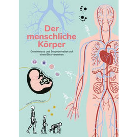 Der menschliche Körper Peraboni, Cristina; De Amicis, Giulia (Illustrationen) Gebundene Ausgabe 