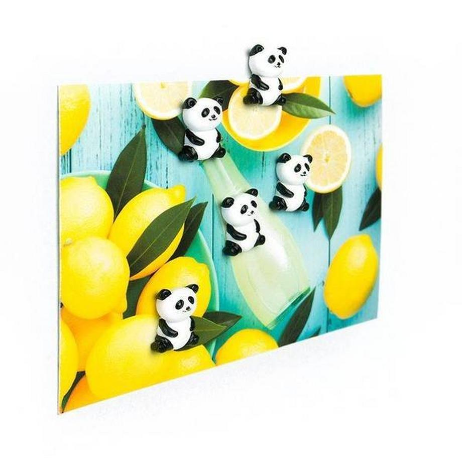 trendform Magnete PANDA 5er Set  