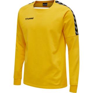 Hummel  pullover hmlauthentic training 