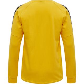 Hummel  pullover hmlauthentic training 