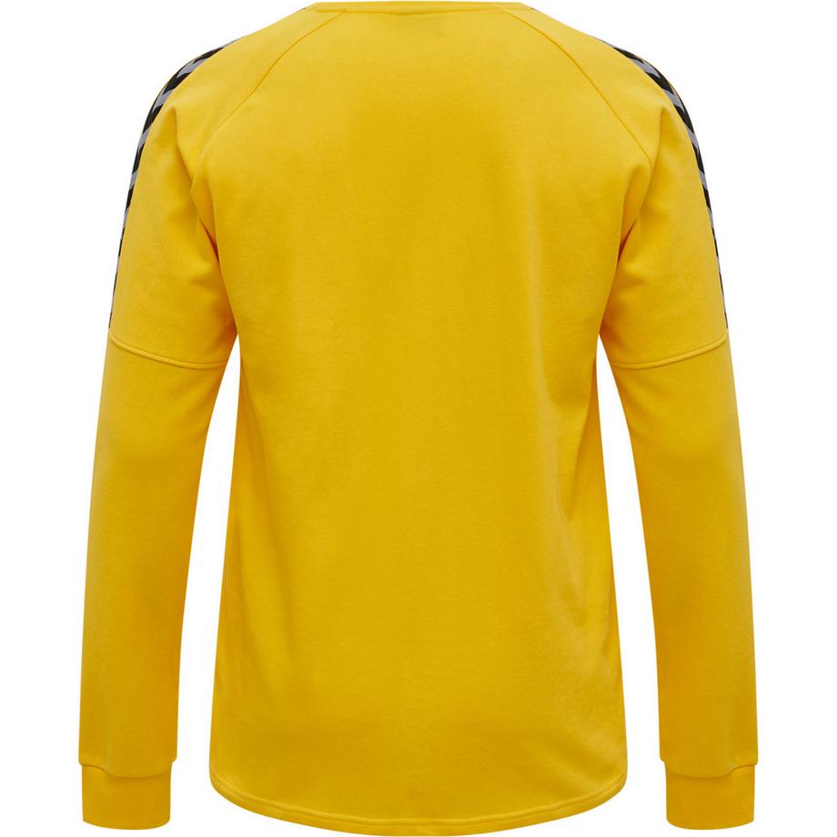 Hummel  sweatshirt hmlauthentic training 