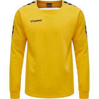 Hummel  pullover hmlauthentic training 