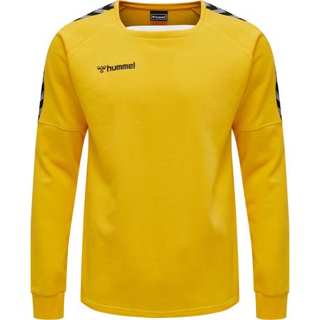 Hummel  pullover hmlauthentic training 