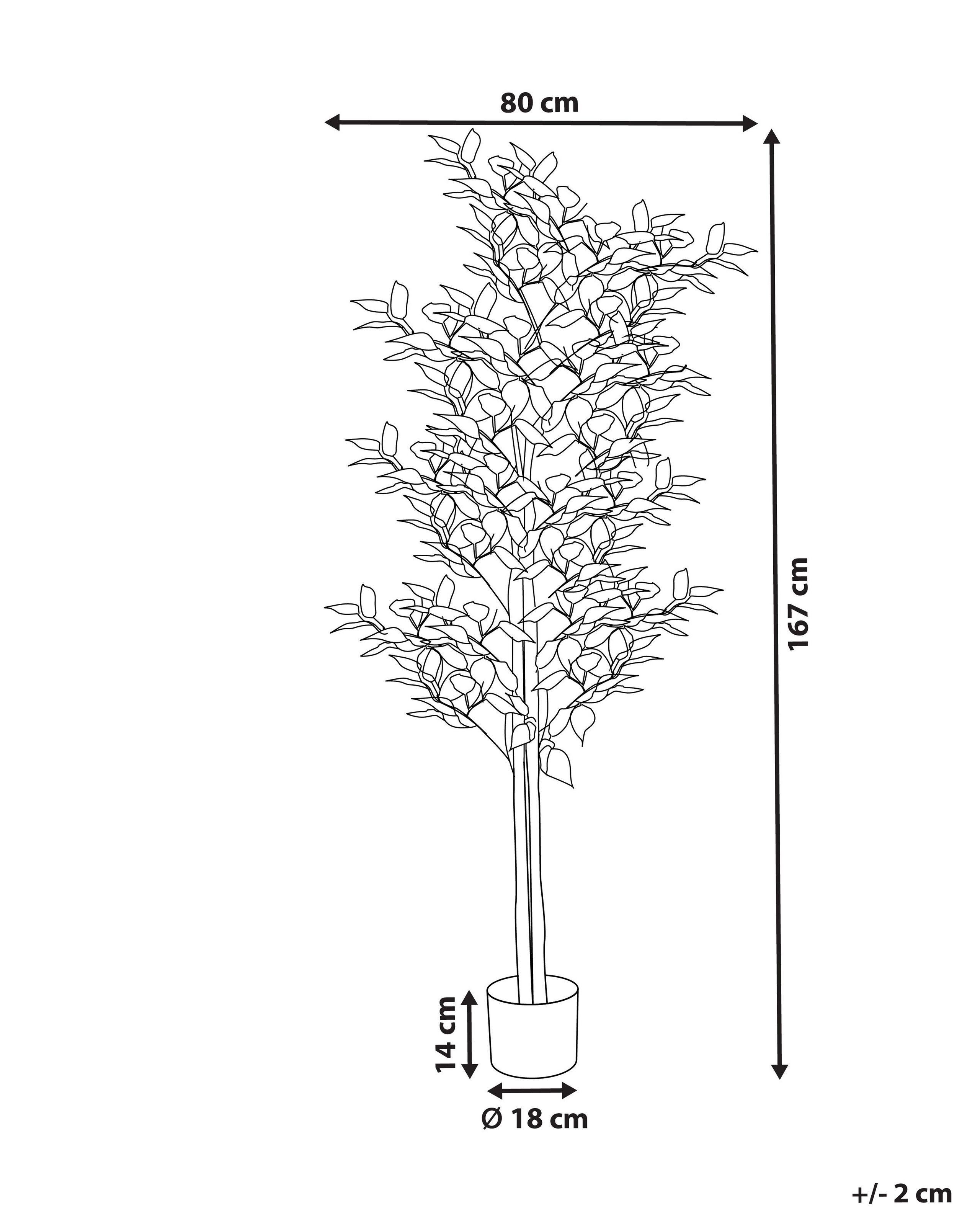 Beliani Plante artificielle en Matière synthétique FICUS  