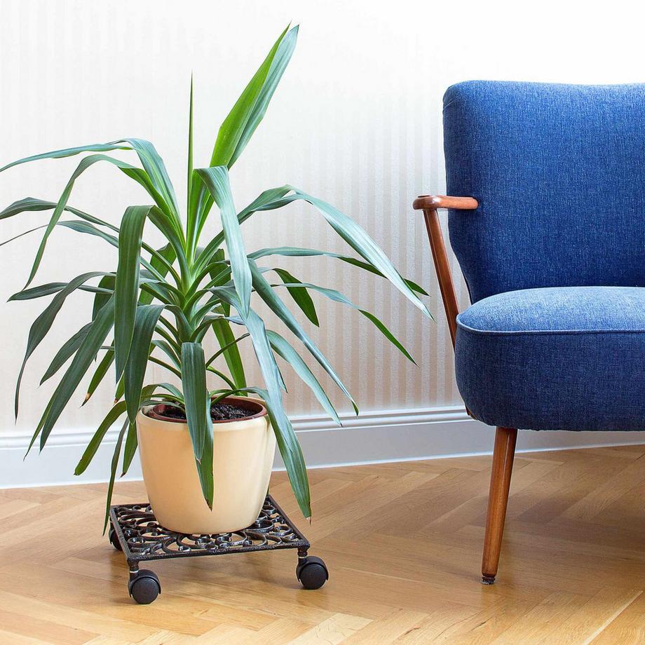 B2X Rullo per piante in ghisa  