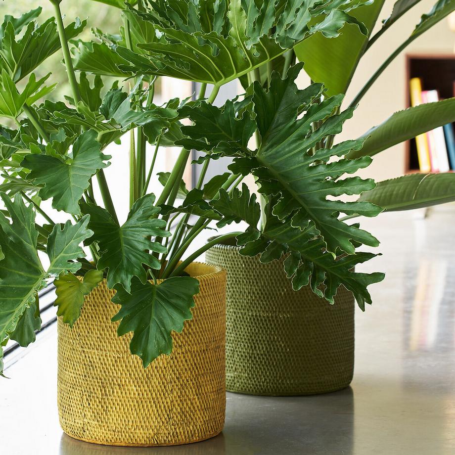 AM.PM Cache-pot en grès H30 cm  