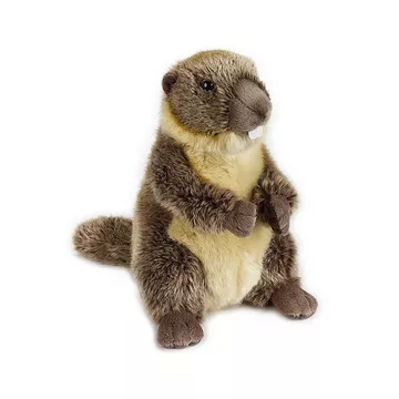 Plüsch Murmeltier (25cm)