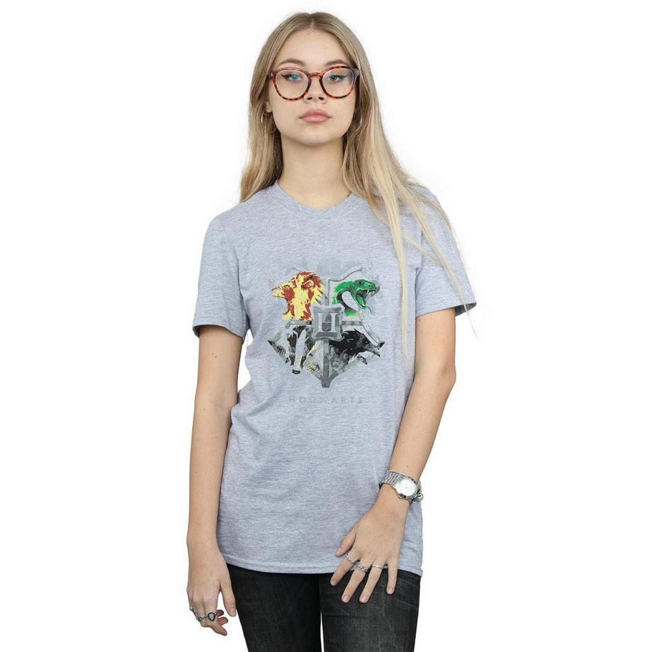 Harry Potter Hogwarts T-Shirt  